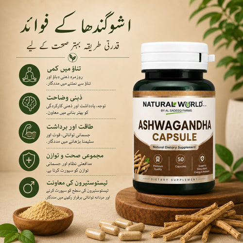 Ashwaganda Capsule